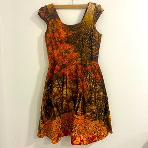 Retrolicious Autumn Scene Dress